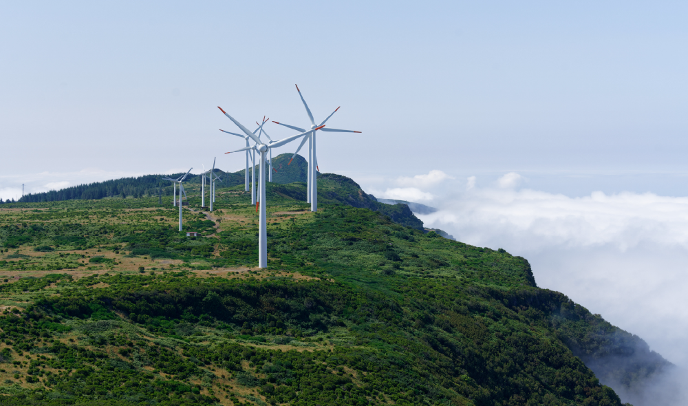 Energy Market Update