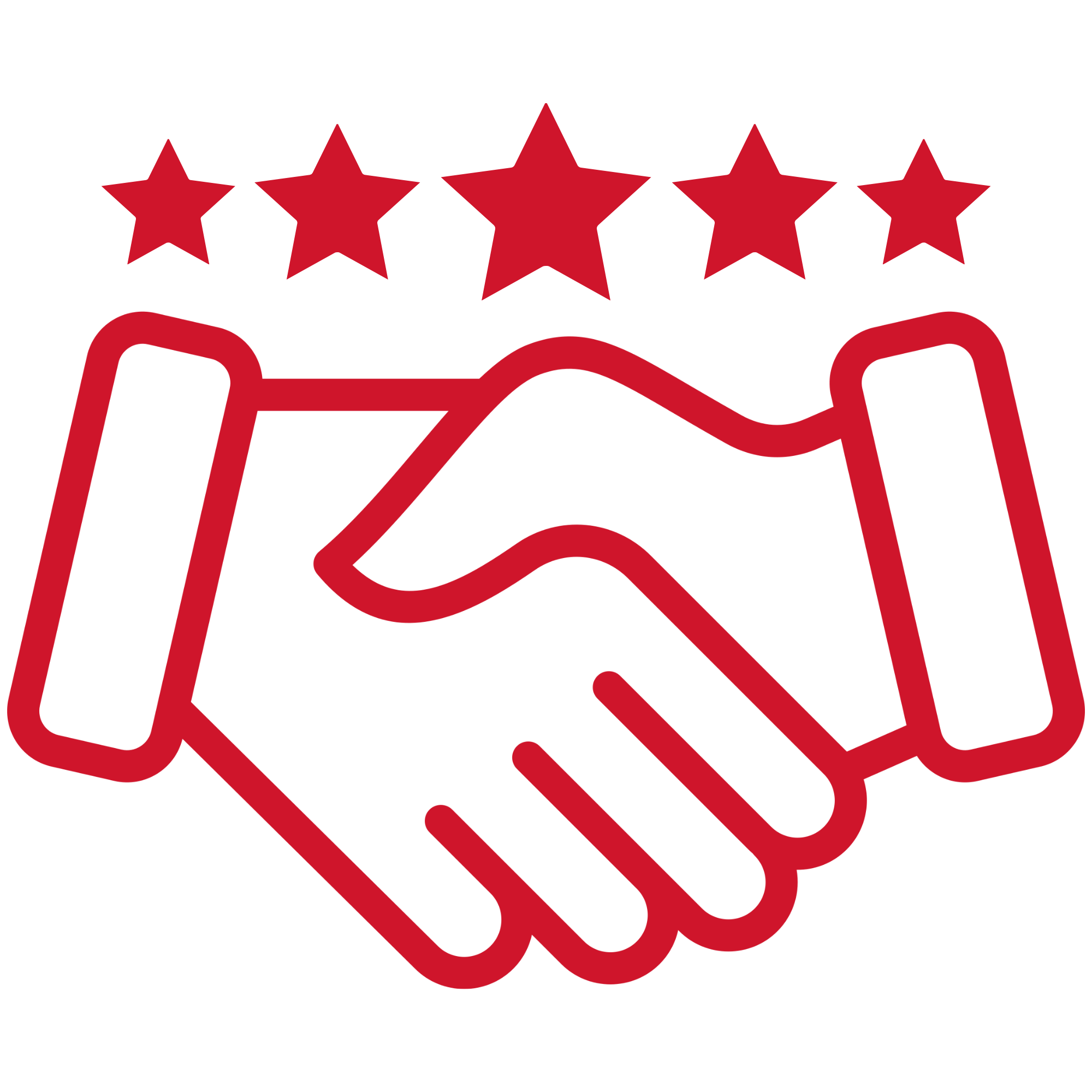 400+ 5* Customer Reviews